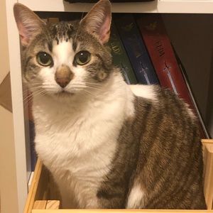 Meet your Posher, Catherine